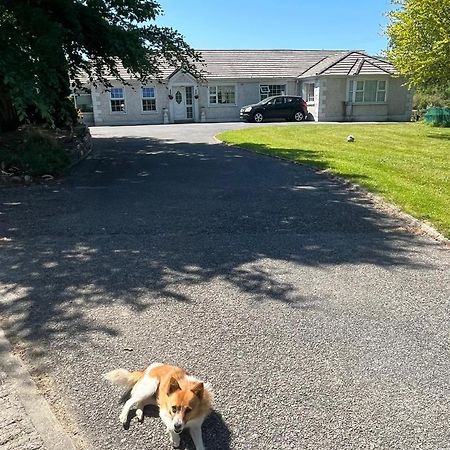 Graiguenamanagh Homestay Bagian luar foto