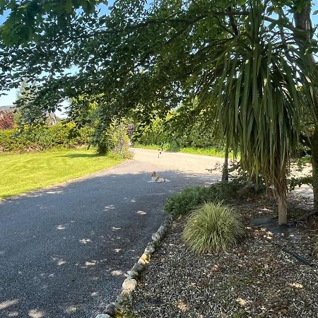 Graiguenamanagh Homestay Bagian luar foto