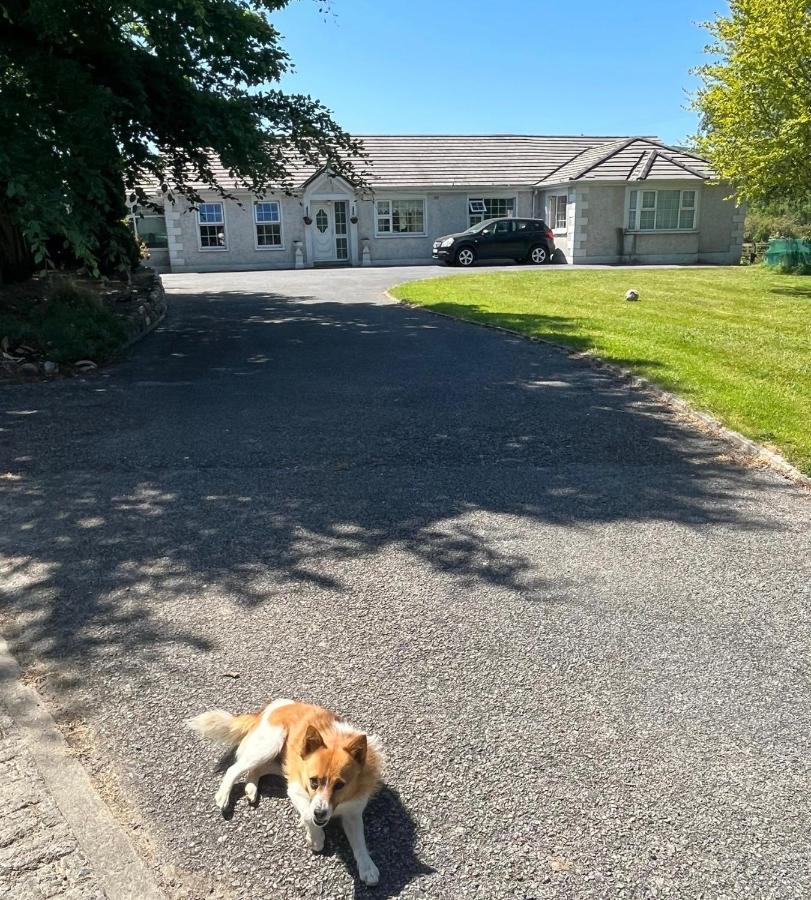 Graiguenamanagh Homestay Bagian luar foto