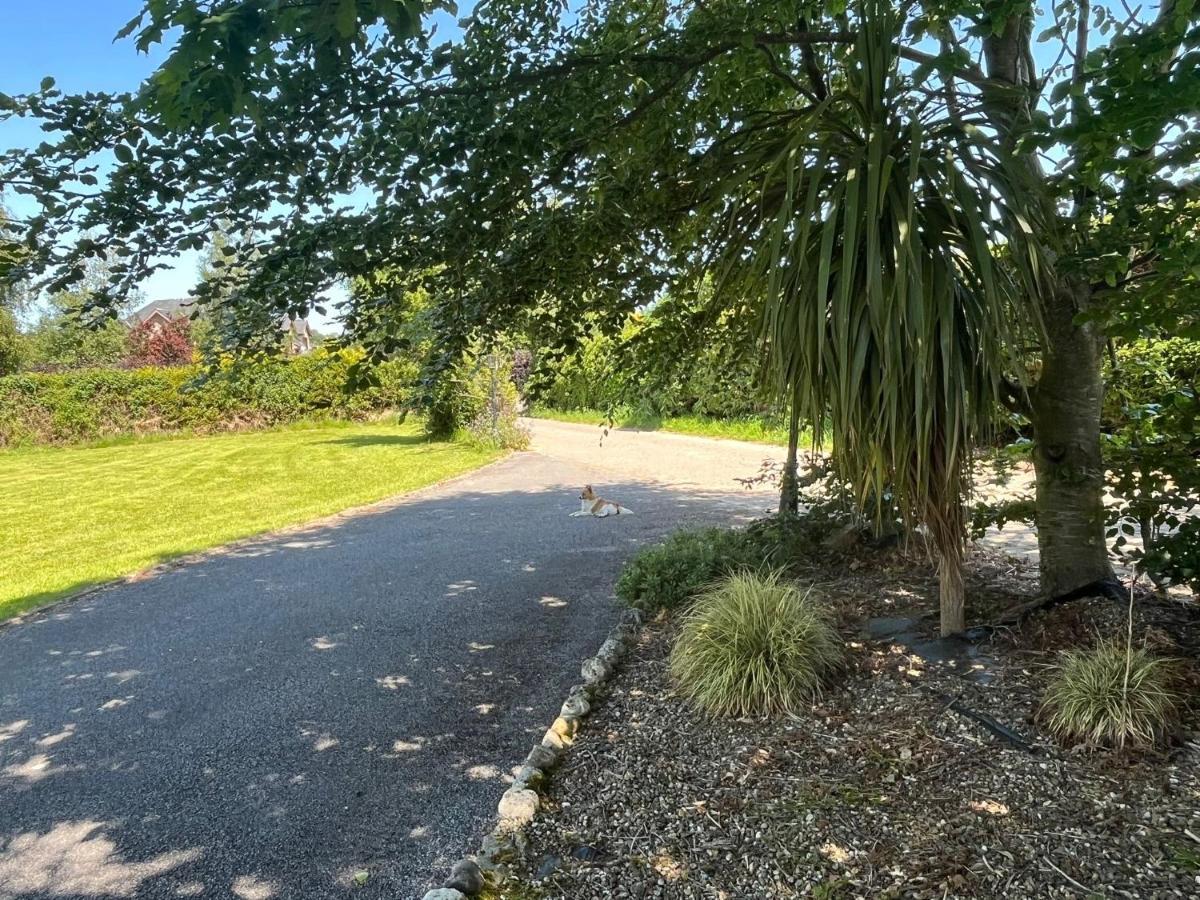 Graiguenamanagh Homestay Bagian luar foto