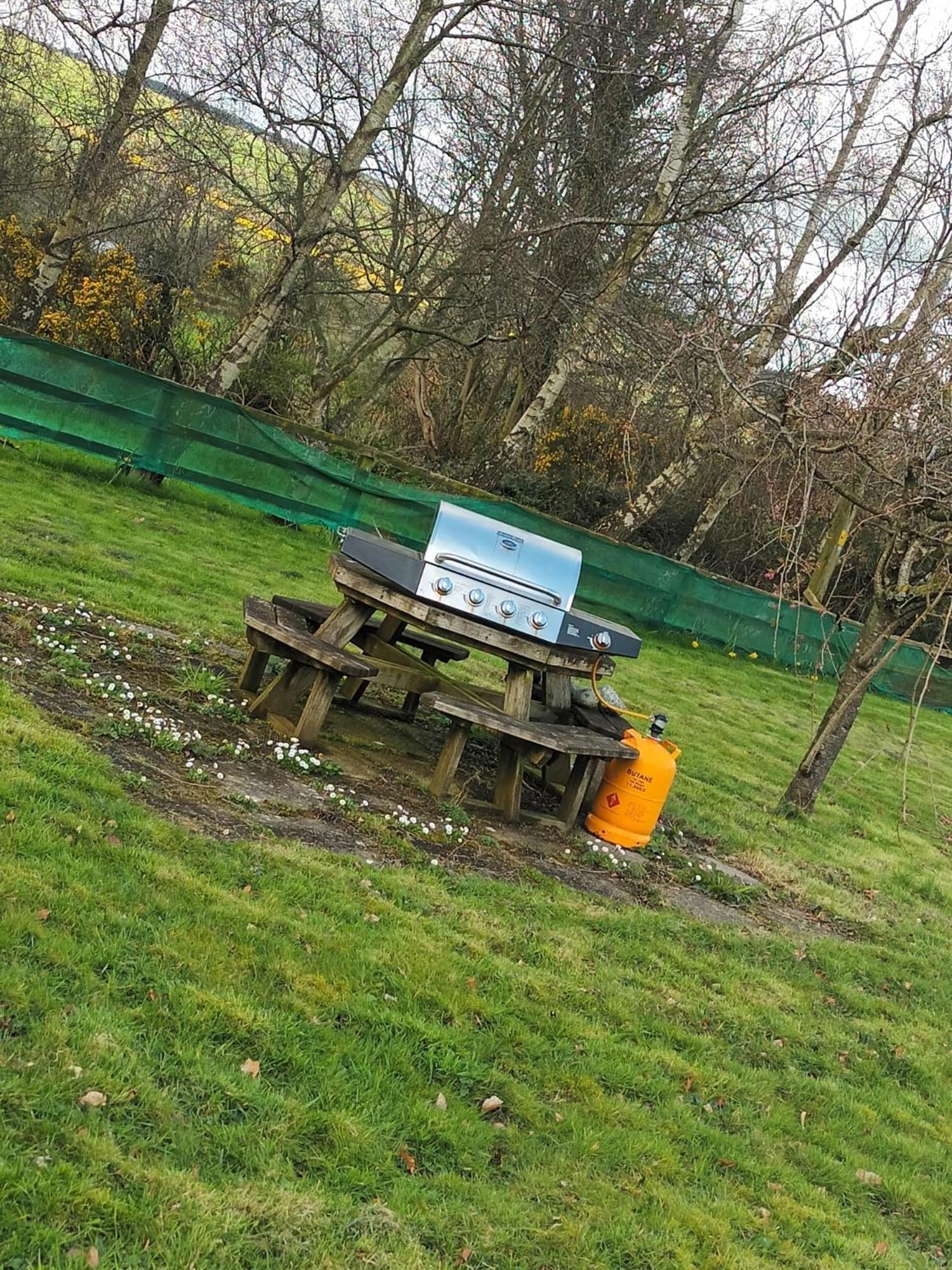 Graiguenamanagh Homestay Bagian luar foto